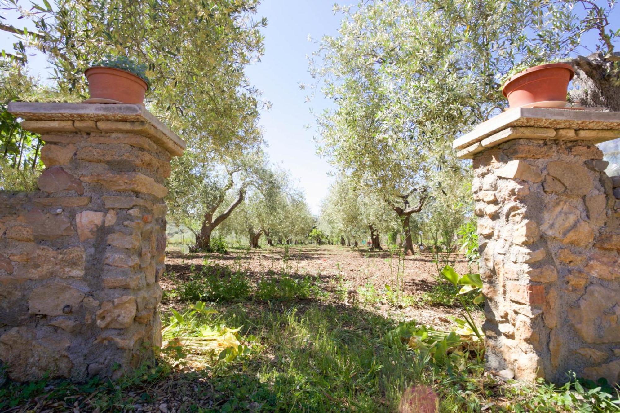 Pedra Moro Villa *